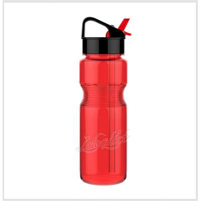 Custom Your Logo Bpa Free Plastic Water Bottle With Lid And Handle